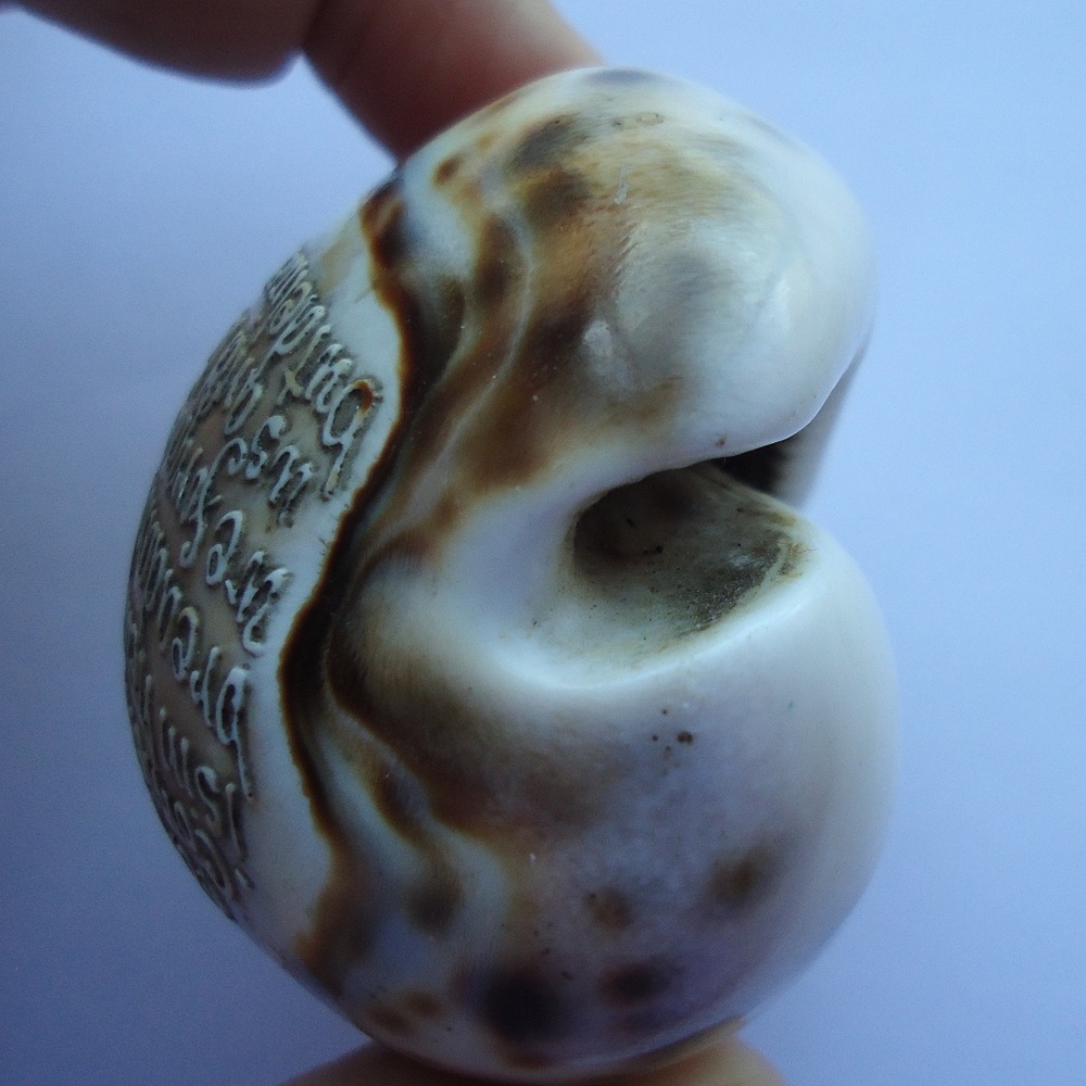 Vintage 3" Carved Natural Shell Seashell Christian Religious Lord’s Prayer - Picture 6 of 9